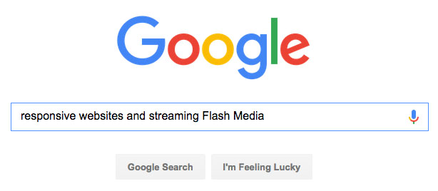 google and flash image